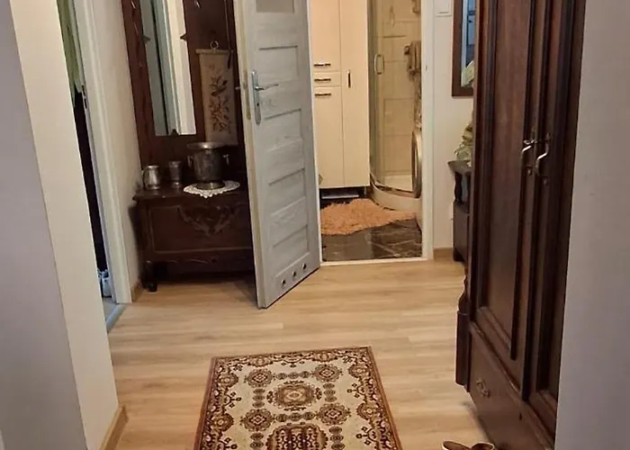 Rybitwa غدانسك